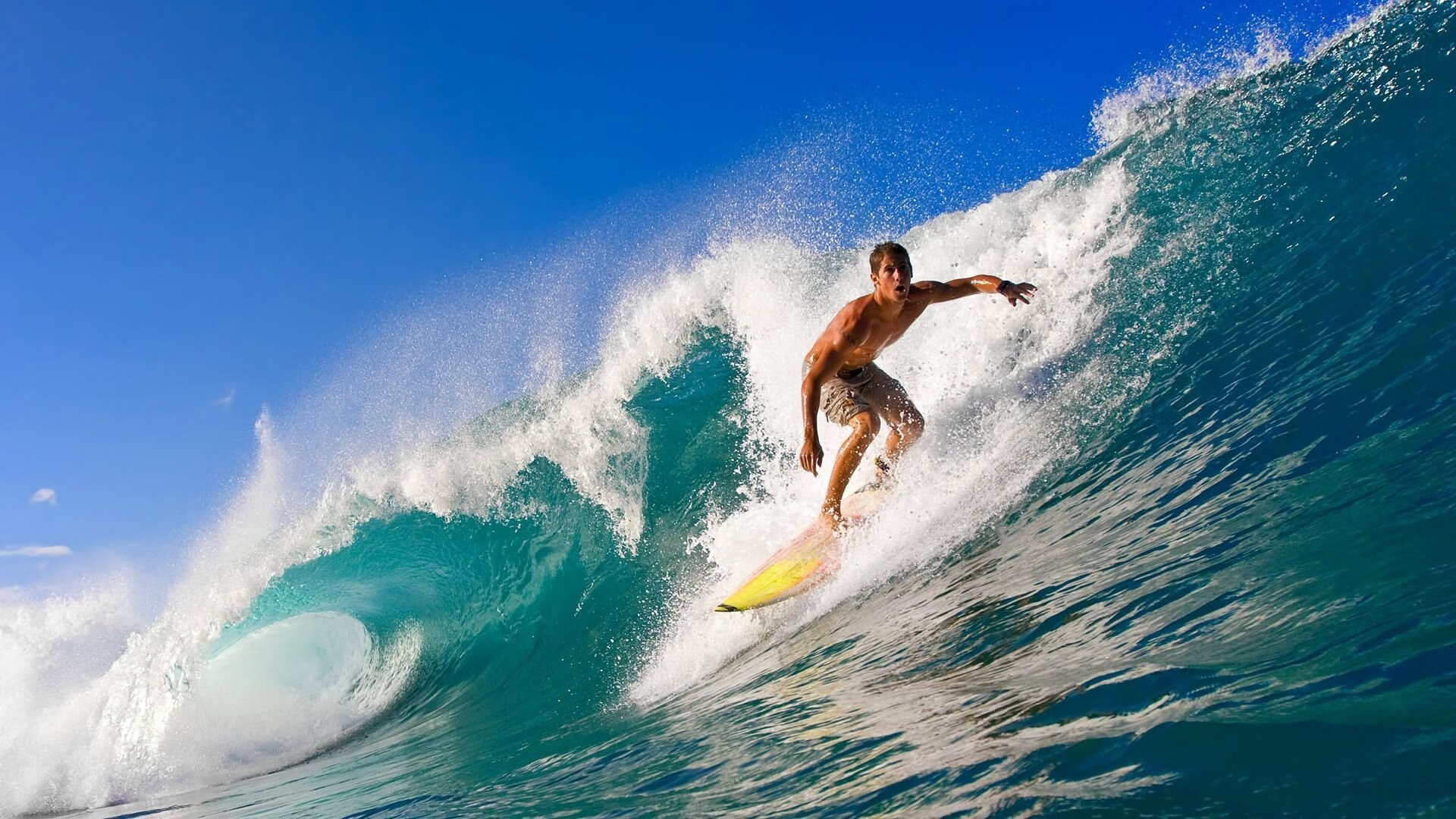 mk体育官网-中超年度关键先生评分排行榜，中超关注度